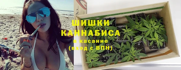 прущие крисы Белокуриха