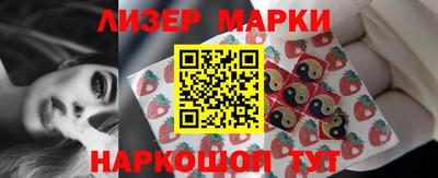 дмт Аргун