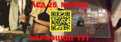 дмт Аргун