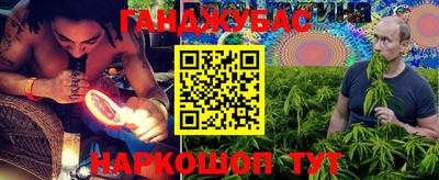дмт Аргун