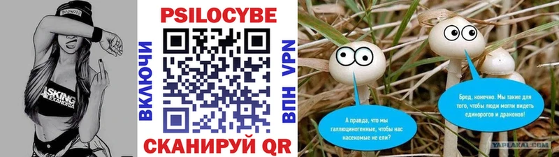 Псилоцибиновые грибы Cubensis Белорецк