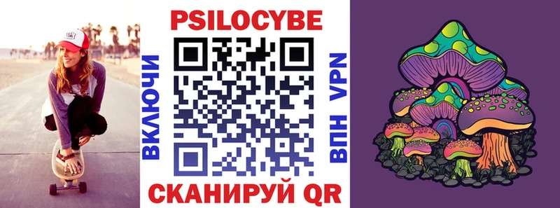 кракен онион  хочу   Белорецк  Галлюциногенные грибы Psilocybe 
