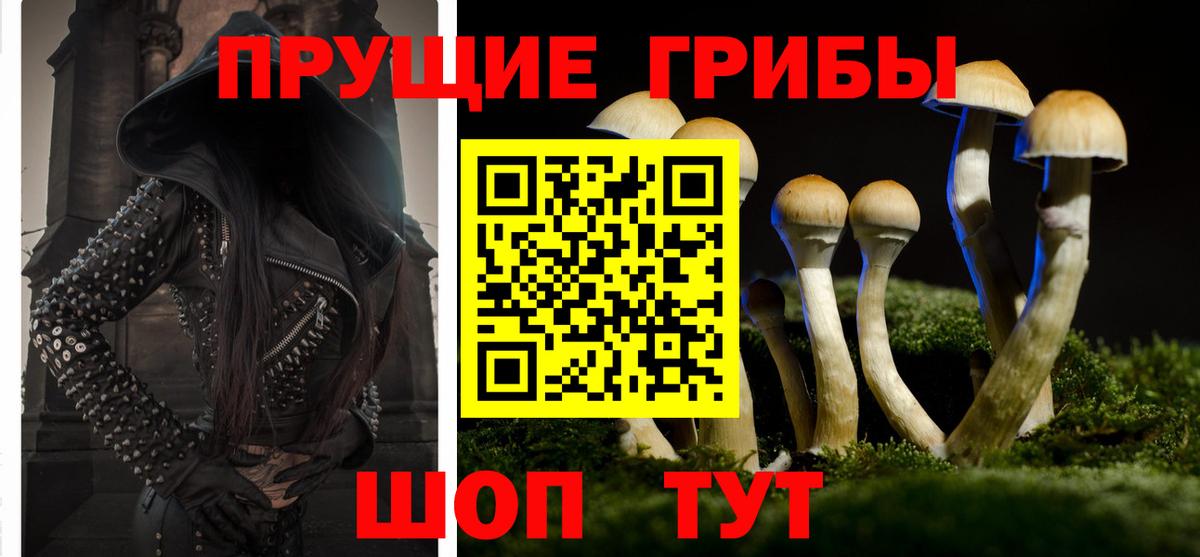 Псилоцибиновые грибы Magic Shrooms Белорецк